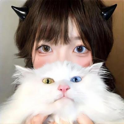 老鹰舰队